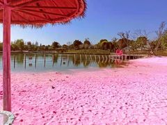 -上海杨姆庄园