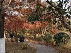 -昆山城市生态森林公园