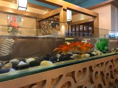 -金穗园·砂锅粥.醉鸡煲火锅(长寿路店)