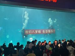 -福州罗源湾海洋世界旅游区