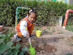 -吉的堡幼儿园(林隐天下园)
