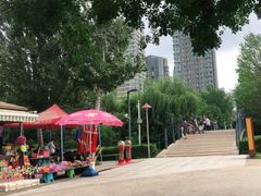 -长白岛森林公园