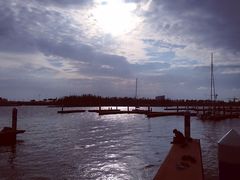-滴水湖帆船营地