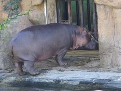 -沈阳森林动物园