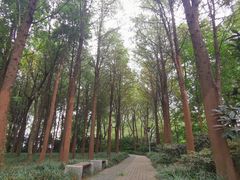 -宝界山林公园