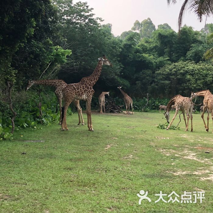 广州长隆野生动物世界