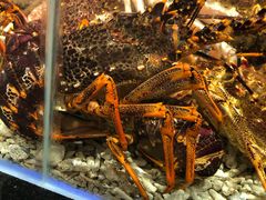 -盒马鲜生(悠方店)