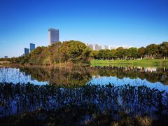 -艾溪湖湿地公园