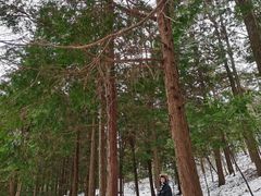 -四明山国家森林公园