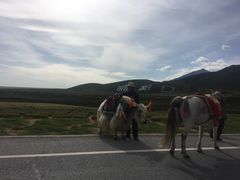 -扁都口生态休闲旅游区