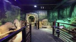 -酷嗒动物文化乐园(cutezoo西溪乐天城店)