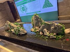 -三谷里·生态水疗空间(五一店)