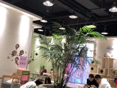 大堂-藏猫猫咖啡主题馆(中央大道店)