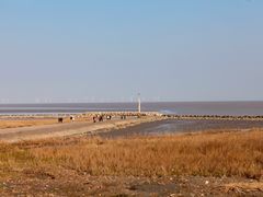 -南汇嘴观海公园