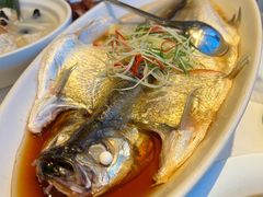 清蒸太湖白鱼-翡翠江南(国贸商城店)