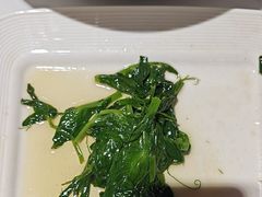 -正兴蜀园(科技园区店)