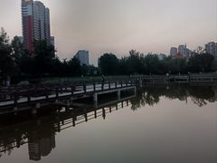 -绿岛公园(滨海新区)