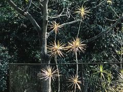 -南沙蒲洲花园