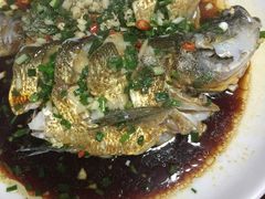 -全乐鱼馆·淳牌有机鱼直营店