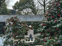 -南山植物园