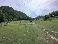 -狮子沟牧场