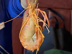 -九月海·海鲜自助(世纪东方店)