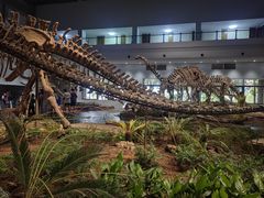 -自贡恐龙博物馆