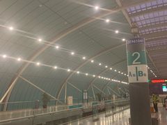 -龙阳路磁悬浮列车总站-停车场