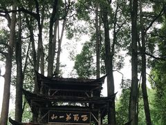-青城山