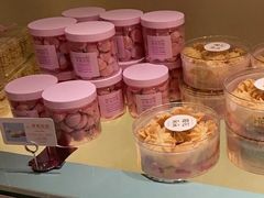 -蒲公英(五里店)