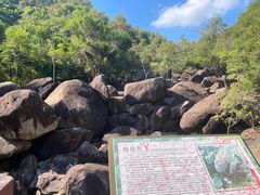 -广州白江湖森林公园