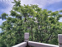 -水濂山森林公园