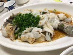 葱油淋鲈鱼-汇兴源餐馆(小北路店)