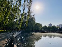 -莲花池公园