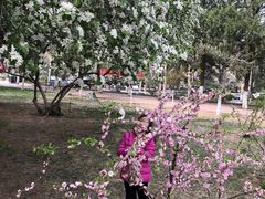 -山东师范大学(千佛山校区)