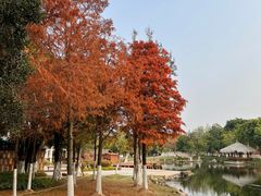 -厦门园林博览苑