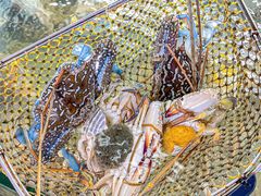 -大K海鲜大排档(羊山岛店)
