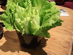 -九田家黑牛烤肉料理(溧阳吾悦店)