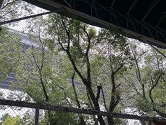 -飞梦少儿足球培训(塘桥校区)