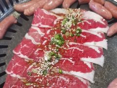 -杨记齐齐哈尔烤肉(总店)