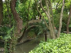 -汇龙潭