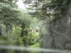 -缙云山景区