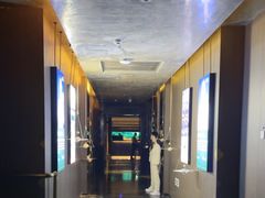 -索拉古贝(义乌北苑店)