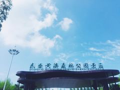 -黄海国家森林公园