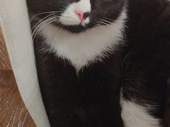 -么么咖啡(燕郊店)