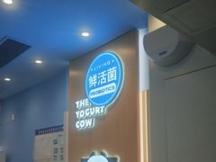 -一只酸奶牛(春熙路店)