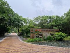 -同里国家湿地公园