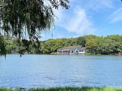 -上海共青森林公园