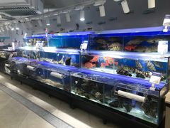 -盒马鲜生(岭南新世界店)