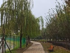 -汉江湾体育公园